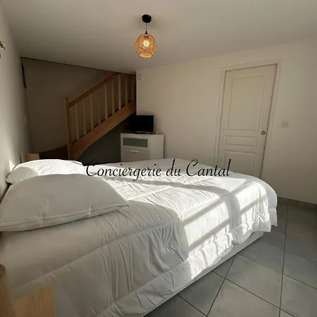Σπίτι διακοπών - La Petite Maison Murataise Murat (Cantal)
